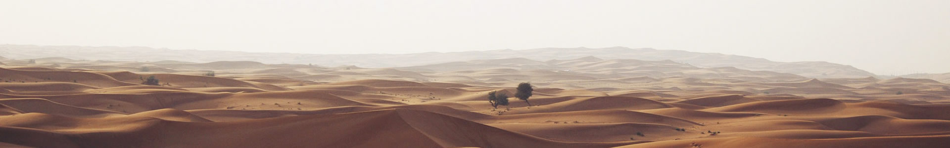 ൺܼ޹˾